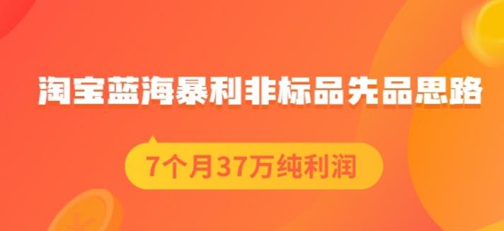 盗坤淘宝蓝海暴利非标品先品思路，7个月37万纯利润，压箱干货分享！【付费文章】-多米来