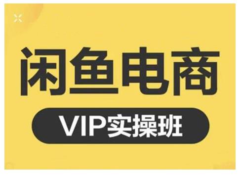 闲鱼电商零基础入门到进阶VIP实战课程，帮助你掌握闲鱼电商所需的各项技能-多米来