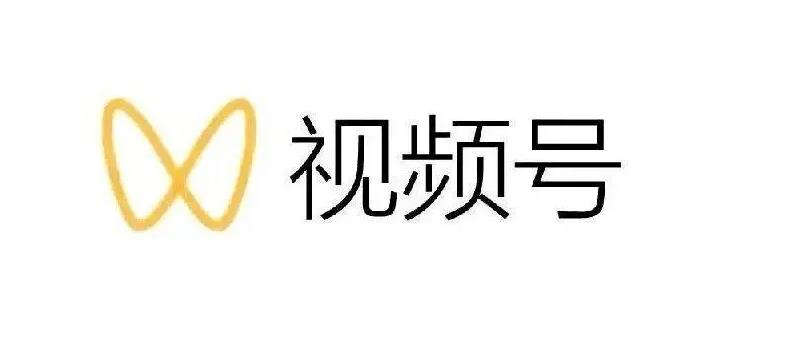 最新视频号解读，视频号真相 变现玩法【视频课程】-多米来