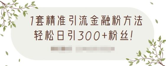 1套精准引流金融粉方法，轻松日引300 粉丝【视频课程】-多米来