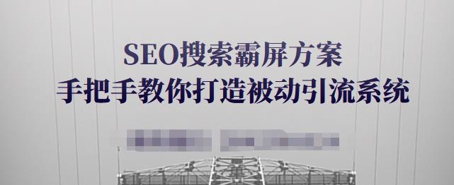 SEO搜索霸屏方案，手把手教你打造被动引流系统【视频课程】-多米来