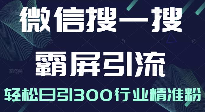 微信搜一搜霸屏引流课，打造被动精准引流系统，轻松日引300行业精准粉【无水印】-多米来