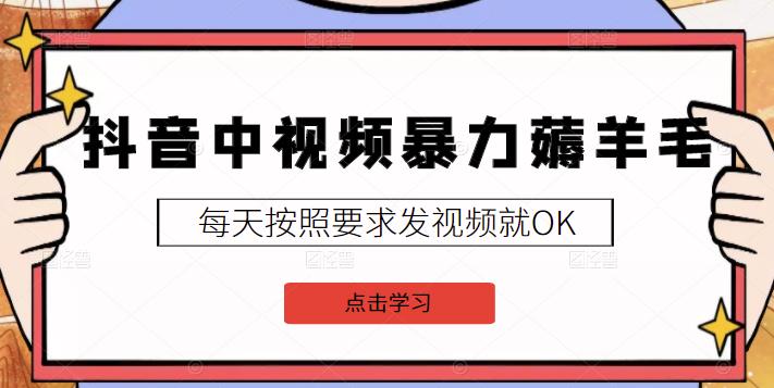 2022抖音中视频暴力薅羊毛白嫖项目：新号每天20块，老号几天几百块，可多号-多米来