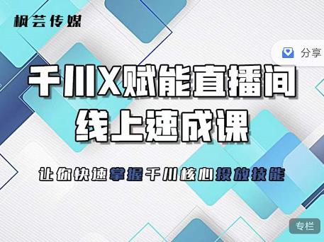 枫芸传媒-线上千川提升课，提升千川认知，提升千川投放效果-多米来