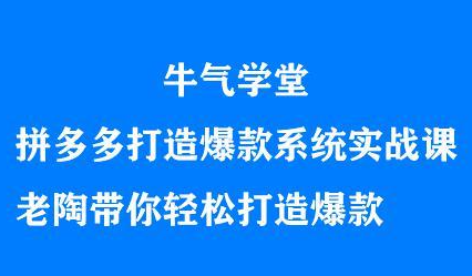 牛气学堂拼多多打造爆款系统实战课，老陶带你轻松打造爆款-多米来