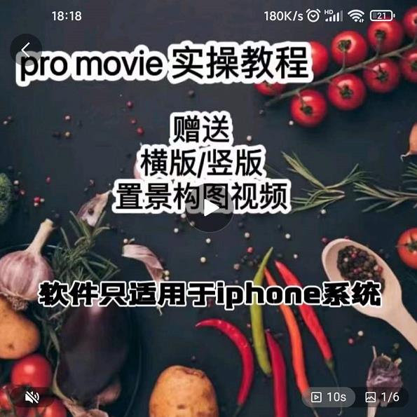 漆十二美食摄影，25​节promovie实操高手课节-多米来