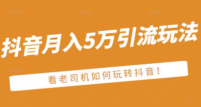 老古董·抖音月入5万引流玩法，看看老司机如何玩转抖音(附赠：抖音另类引流思路)-多米来