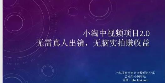 小淘项目组网赚永久会员，绝对是具有实操价值的，适合有项目做需要流程【持续更新】-多米来