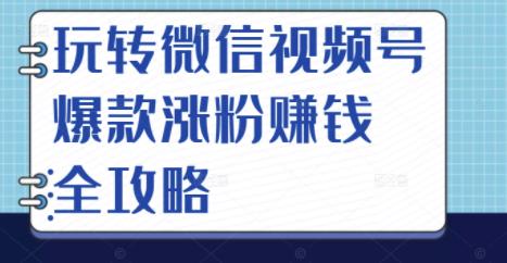 玩转微信视频号爆款涨粉赚钱全攻略，让你快速抓住流量风口，收获红利财富-多米来