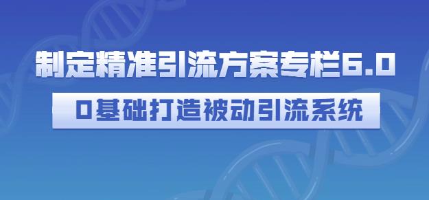 制定精准引流方案专栏6.0，0基础打造被动引流系统-多米来