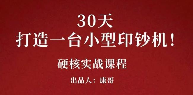 康哥30天打造一台小型印钞机：躺赚30万的项目完整复盘（视频教程）-多米来