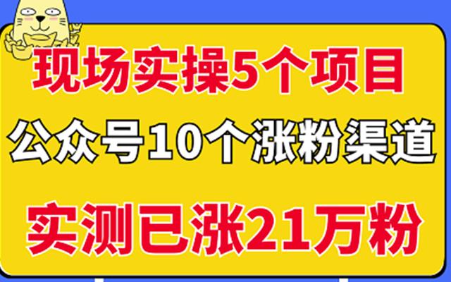 现场实操5个公众号项目，10个涨粉渠道，实测已涨21万粉！-多米来