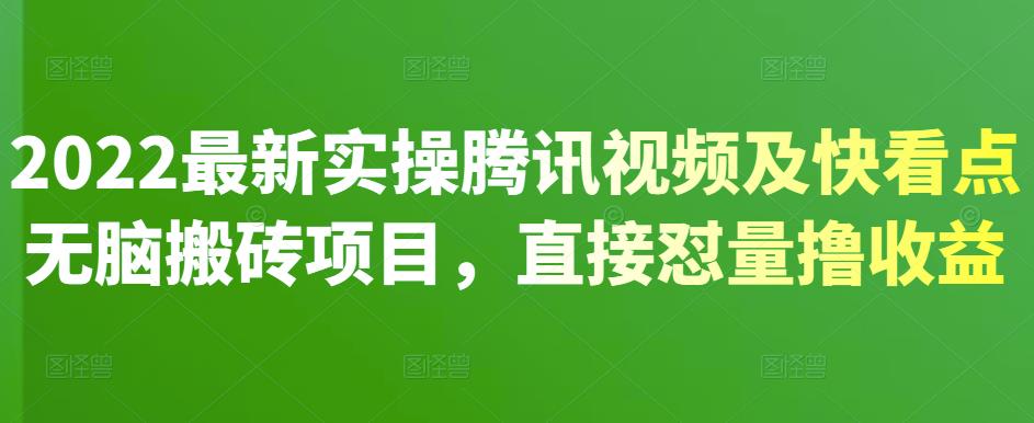 2022最新实操腾讯视频及快看点无脑搬砖项目，直接怼量撸收益-多米来