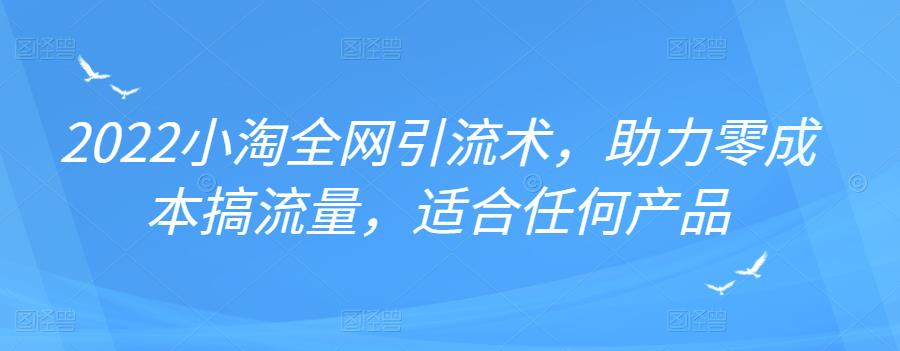 2022年小淘全网引流术，助力零成本搞流量，适合任何产品-多米来