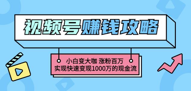 玩转微信视频号赚钱：小白变大咖涨粉百万实现快速变现1000万的现金流-多米来