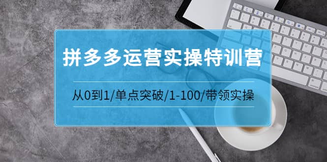 拼多多运营实操特训营：从0到1/单点突破/1-100/带领实操 价值2980元-多米来