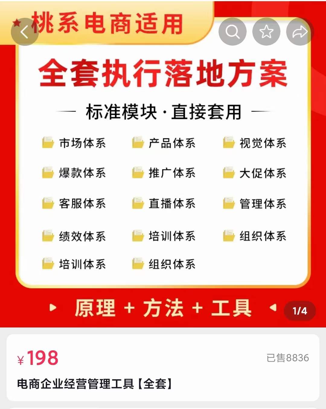 外面卖198·电商企业经营管理工具：全套执行落地方案 标准模块·直接套用-多米来