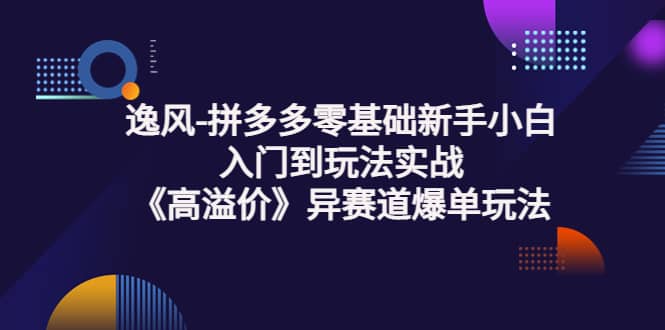 拼多多零基础新手小白入门到玩法实战《高溢价》异赛道爆单玩法实操课-多米来