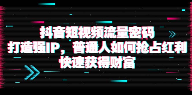 抖音短视频流量密码：打造强IP，普通人如何抢占红利，快速获得财富-多米来