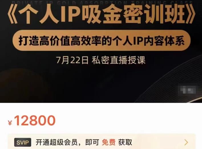 个人IP吸金密训班，打造高价值高效率的个人IP内容体系（价值12800元）-多米来