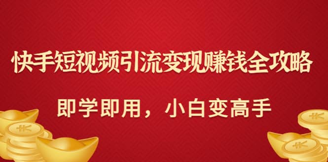 快手短视频引流变现赚钱全攻略：即学即用，小白变高手（价值980元）-多米来