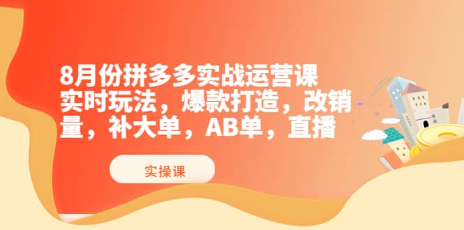 8月份拼多多实战运营课，实时玩法，爆款打造，改销量，补大单，AB单，直播-多米来