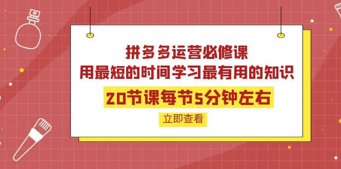 拼多多运营必修课：20节课每节5分钟左右，用最短的时间学习最有用的知识-多米来