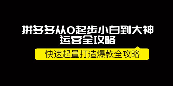 拼多多从0起步小白到大神运营全攻略-多米来