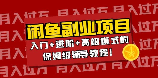 月入过万闲鱼副业项目：入门 进阶 高级模式的保姆级辅导教程-多米来