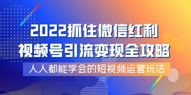 2022抓住微信红利，视频号引流变现全攻略，人人都能学会的短视频运营玩法-多米来