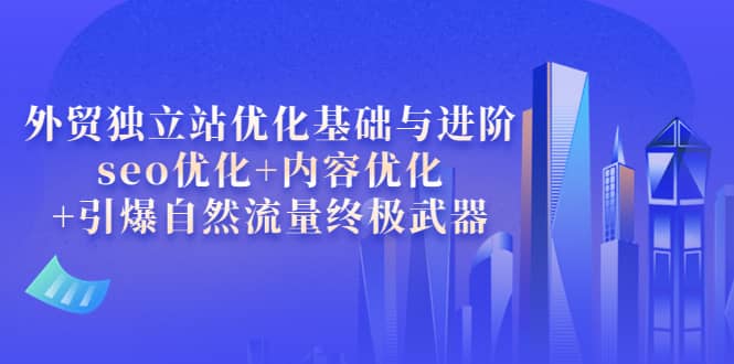 外贸独立站优化基础与进阶，seo优化 内容优化 引爆自然流量终极武器-多米来