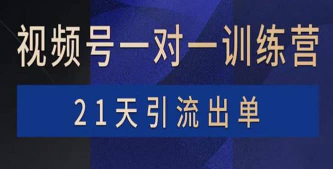 视频号训练营：带货，涨粉，直播，游戏，四大变现新方向，21天引流出单-多米来