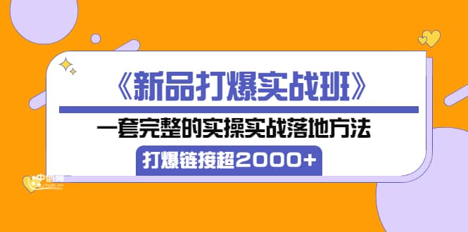 《新品打爆实战班》一套完整的实操实战落地方法，打爆链接超2000 （38节课)-多米来