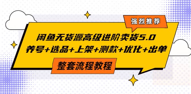 闲鱼无货源高级进阶卖货5.0，养号 选品 上架 测款 优化 出单整套流程教程-多米来