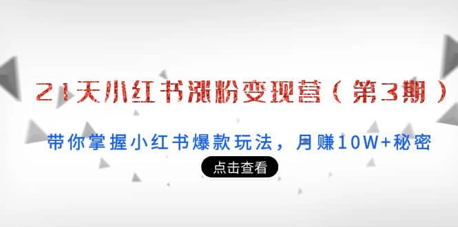 21天小红书涨粉变现营（第3期）：带你掌握小红书爆款玩法，月赚10W 秘密-多米来