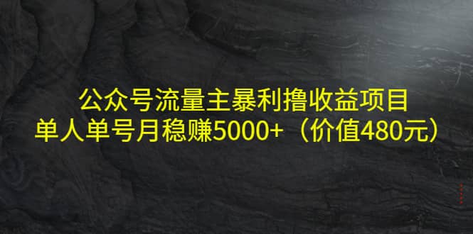 公众号流量主暴利撸收益项目，单人单号月稳赚5000 （价值480元）-多米来