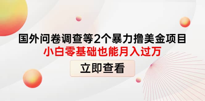 国外问卷调查等2个暴力撸美元项目，小白零基础也能月入过万-多米来