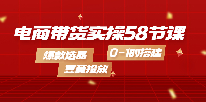 电商带货实操58节课，爆款选品，豆荚投放，0-1的搭建-多米来