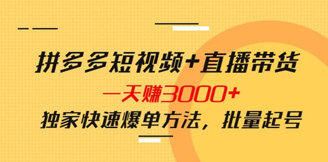 拼多多短视频 直播带货，一天赚3000 独家快速爆单方法，批量起号-多米来