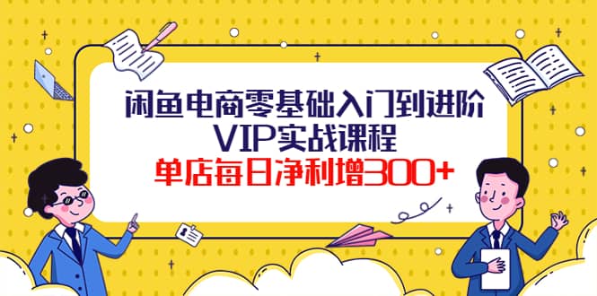 闲鱼电商零基础入门到进阶VIP实战课程-多米来