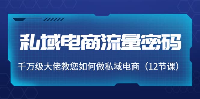 私域电商流量密码：千万级大佬教您如何做私域电商（12节课）-多米来