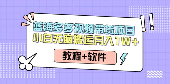 人人都能操作的蓝海多多视频带货项目 小白无脑搬运（教程 软件）-多米来