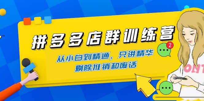 拼多多店群训练营：从小白到精通，只讲精华，剔除推销和废话-多米来