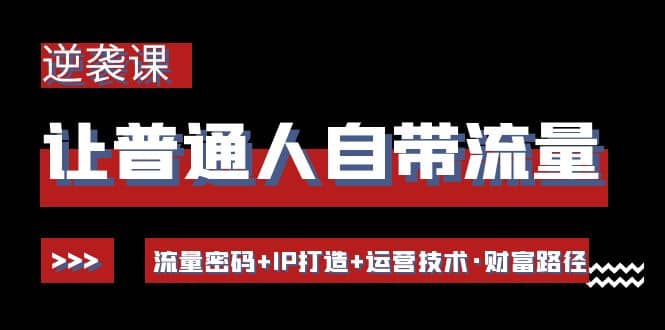 让普通人自带流量的逆袭课：流量密码 IP打造 运营技术·财富路径-多米来