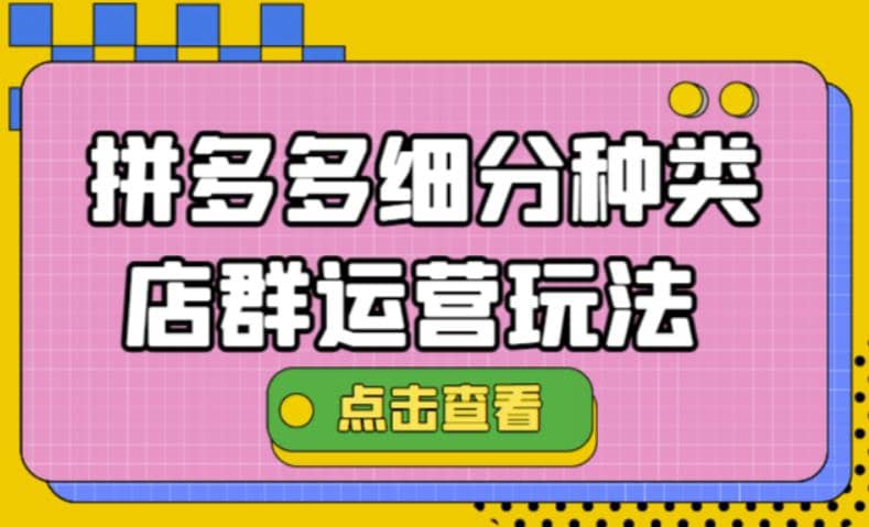 拼多多细分种类店群运营玩法3.0，11月最新玩法，小白也可以操作-多米来