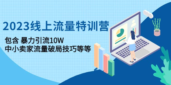 2023线上流量特训营：中小卖家流量破局技巧等等-多米来