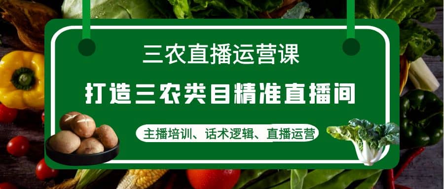 三农直播运营课：打造三农类目精准直播间，主播培训、话术逻辑、直播运营-多米来