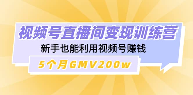 视频号直播间变现训练营-多米来