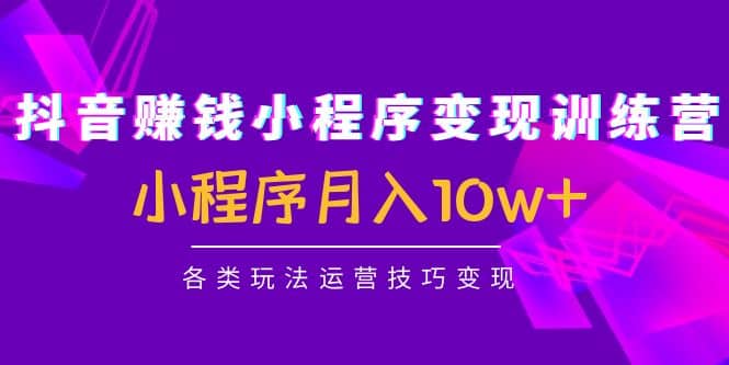 抖音小程序变现训练营：小程序各类玩法运营技巧变现-多米来