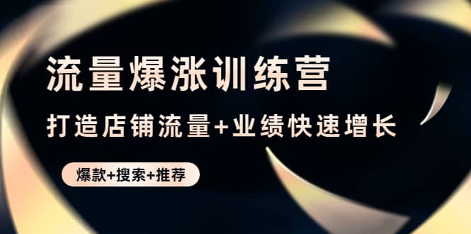 流量爆涨训练营：打造店铺流量 业绩快速增长 (爆款 搜索 推荐)-多米来